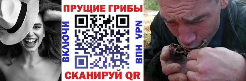 Купить где  Волчанск  Галлюциногенные грибы мухоморы 